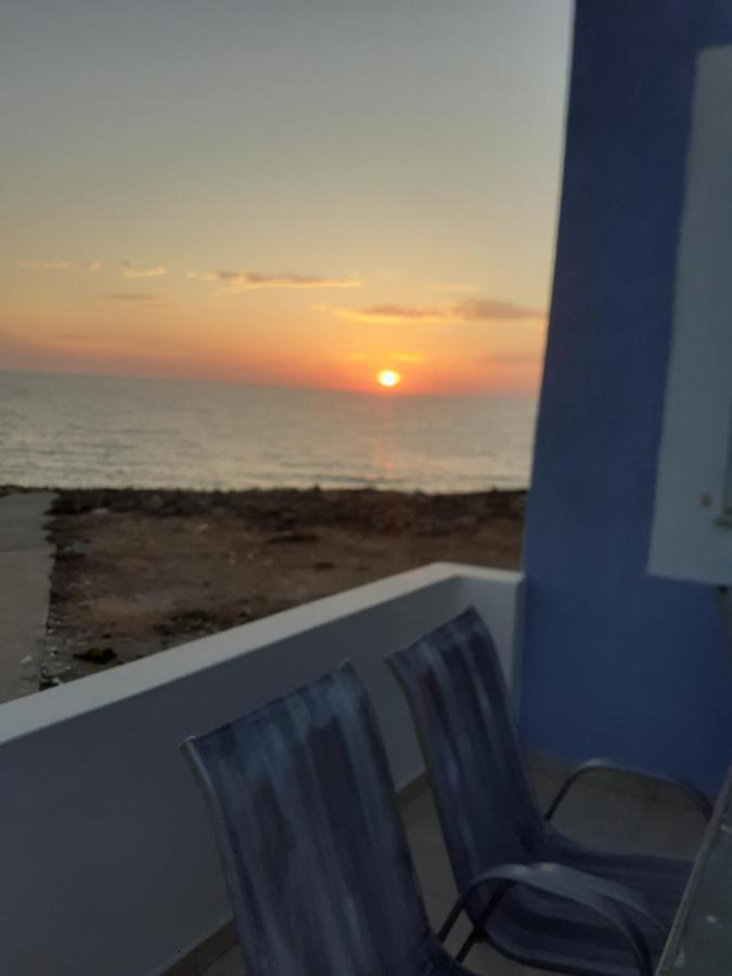 Arkasa Karpathos Seafront Paradisos Foinikion Bagian luar foto